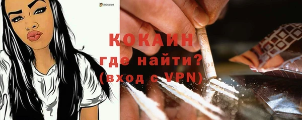 дмт Елизово
