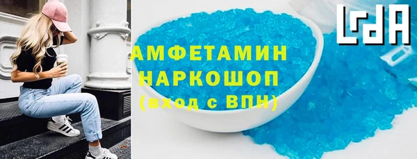 гашик Дмитров