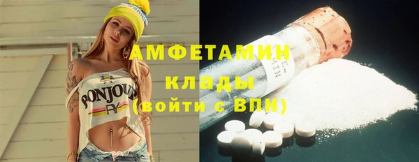 крисы Ельня