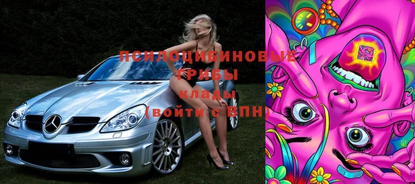 первитин Дмитриев