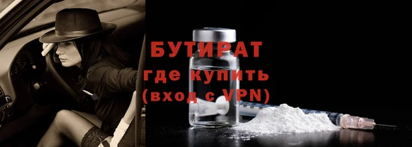 крисы Ельня