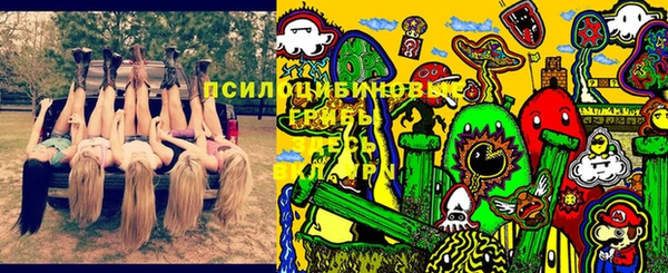 гашик Дмитров