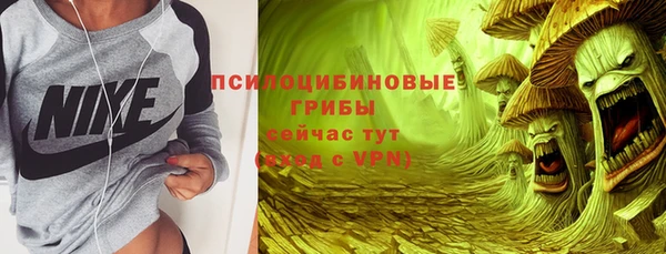 первитин Дмитриев