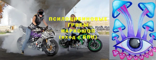дмт Елизово
