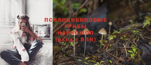 a pvp Дмитровск