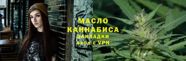 крисы Ельня
