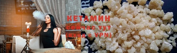 крисы Ельня