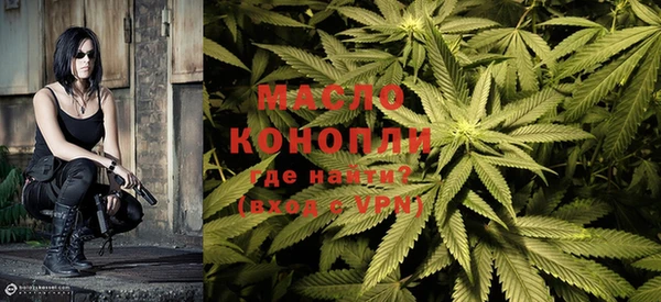 гашик Дмитров